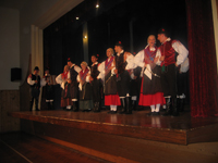Koncert v Artičah